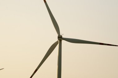 windturbine jeneratör