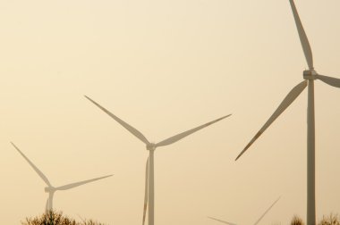 windturbine jeneratör