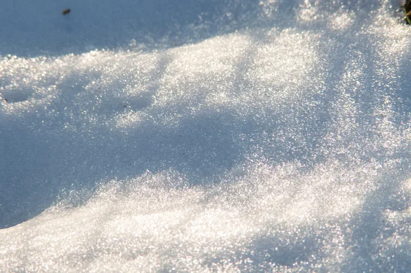 Topnienie śniegu na łące — Zdjęcie stockowe
