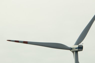 windturbine jeneratör
