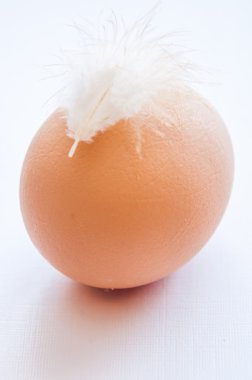 geçiş yumuşatma ile tavuk yumurta