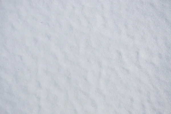 Fond de neige — Photo