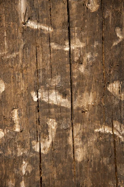 Wooden background — Stock Photo, Image