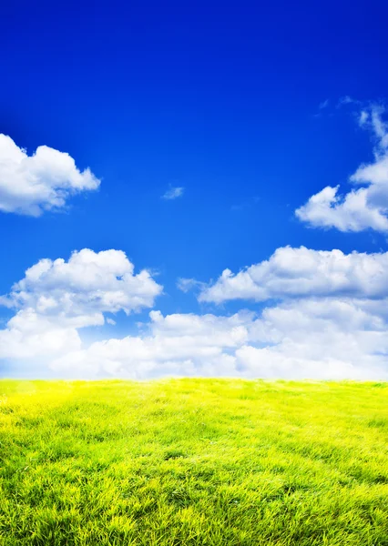 Spring landscape with sun — Stock Photo, Image