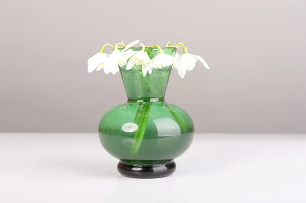 Kardelen yeşil vazo içinde. Galanthus nivalis — Stok fotoğraf