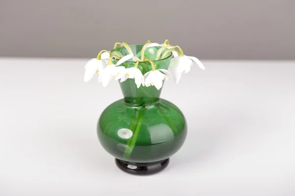 Goutte de neige en vase vert. Galanthus nivalis — Photo