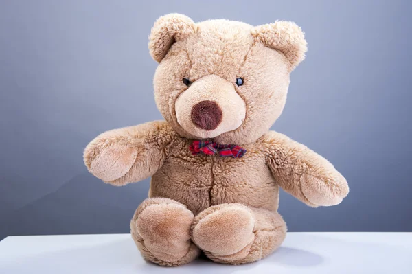 Teddy bear — Stockfoto