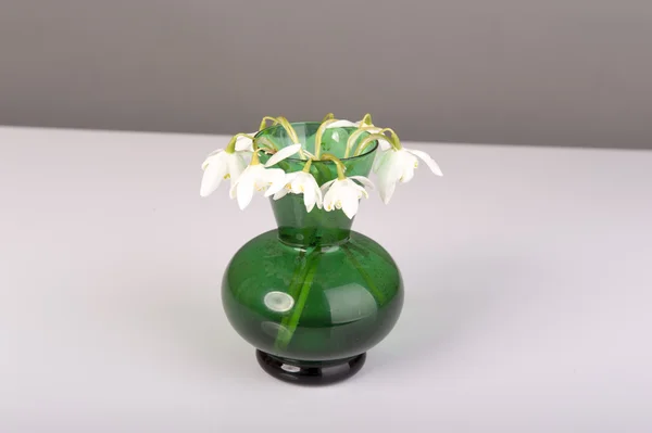 Snowdrop in green vase. Galanthus nivalis — Stock Photo, Image