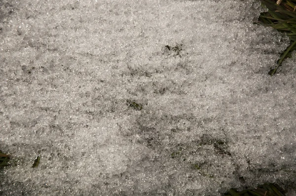Таяние снега — стоковое фото