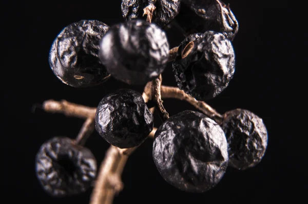 Frutta a bacchetta nera — Foto Stock