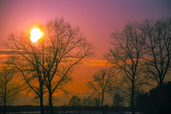 Ηλιοβασίλεμα το χειμώνα — Φωτογραφία Αρχείου