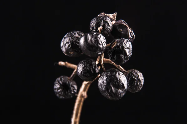 Siyah çubuk meyve ile — Stok fotoğraf