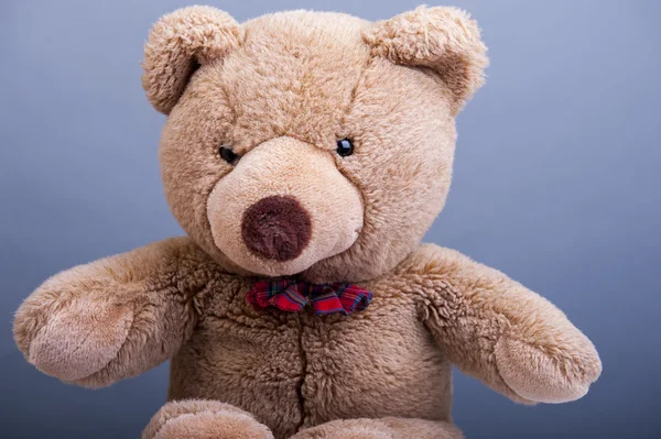 Teddy bear — Stock Photo, Image