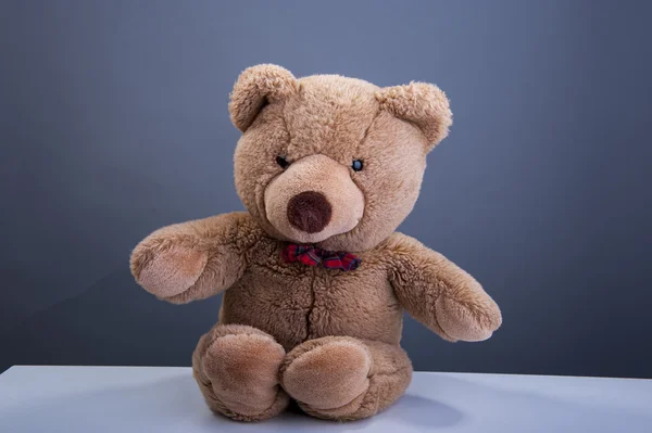 Teddy bear — Stockfoto