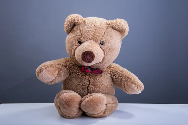 Teddy bear — Stockfoto