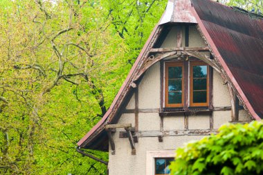 Ormanda terk edilmiş eski bir ev.