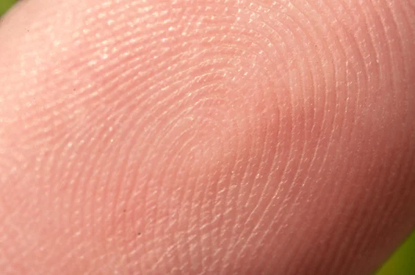 Close-up of human finger fingerprint — Stock Photo, Image