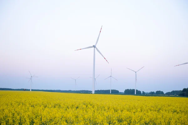 型風力発電ファーム — ストック写真