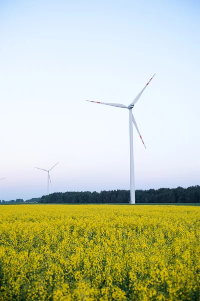 型風力発電ファーム — ストック写真