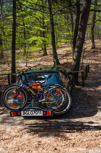 Coche aparcado en el bosque — Foto de Stock