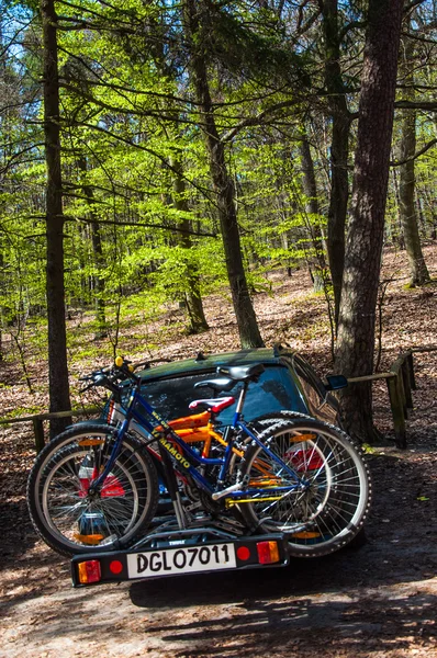 Coche aparcado en el bosque — Foto de Stock