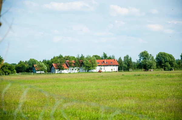 Фермерский дом среди лугов и полей — стоковое фото