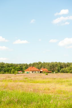 ev arasında meadows