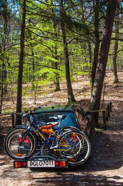 Coche aparcado en el bosque — Foto de Stock