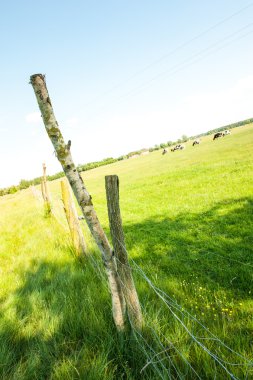 elektrikli çit çayır üzerinde