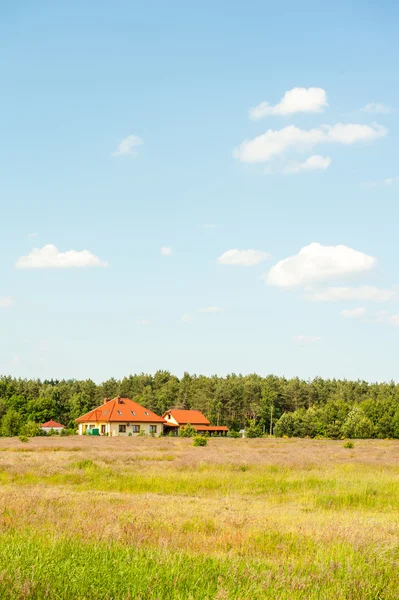 Ev arasında meadows — Stok fotoğraf