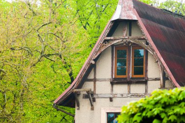 Ormanda terk edilmiş eski bir ev.