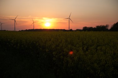 windturbine çiftlik