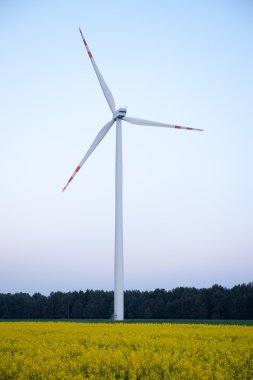 windturbine çiftlik