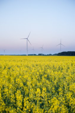 windturbine çiftlik