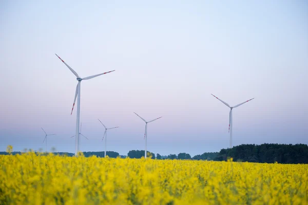 Windturbine boerderij — Stockfoto