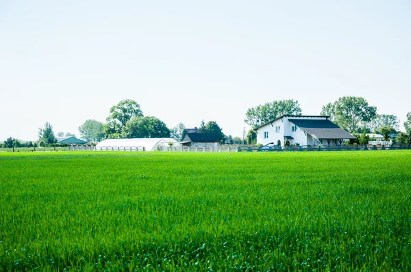 Casa de fazenda entre os prados e campos — Fotografia de Stock