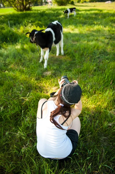 Woman making photos of calves in the meadow