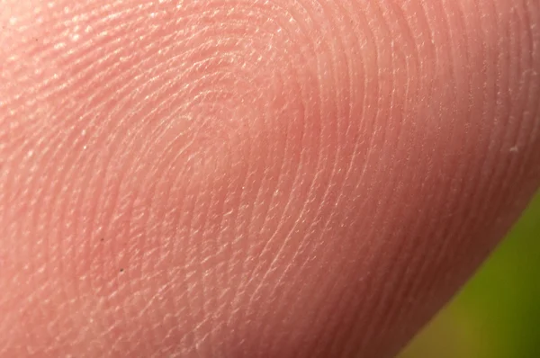 Detail lidského prstu otisk — Stock fotografie