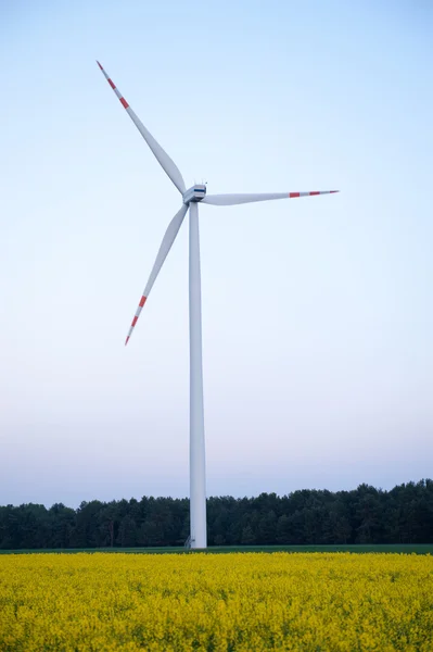 Windturbine farm — Stock Photo, Image