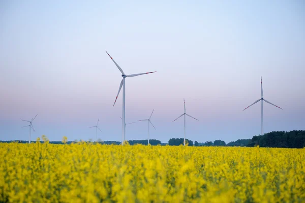 Windturbine boerderij — Stockfoto