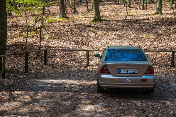 Coche aparcado en el bosque — Foto de Stock