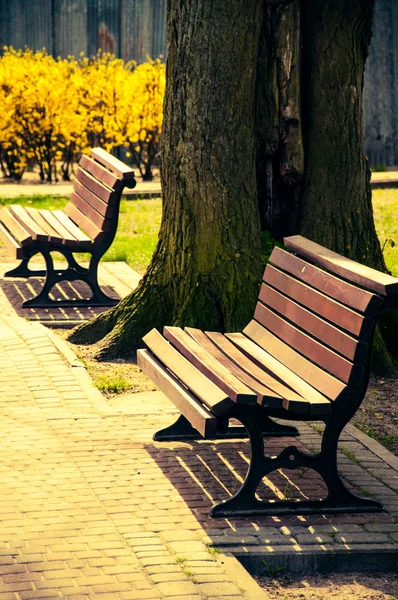 Banc en bois — Photo