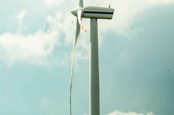 Вітрові турбіни в сонячний день — стокове фото