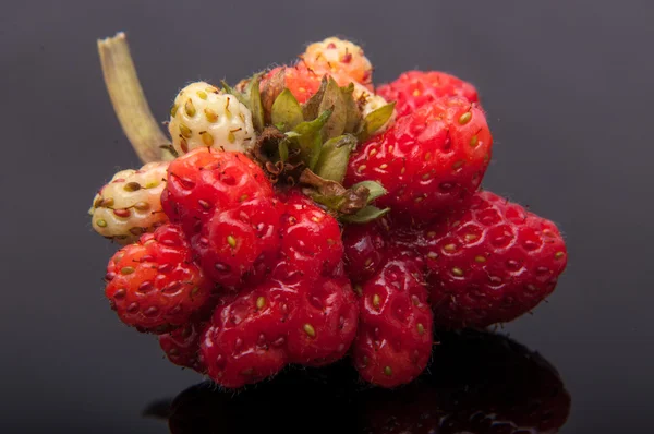 Strawberry — Stock Photo, Image