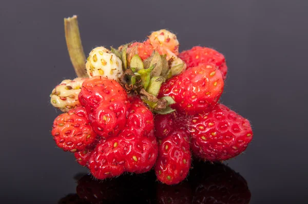 Strawberry — Stock Photo, Image