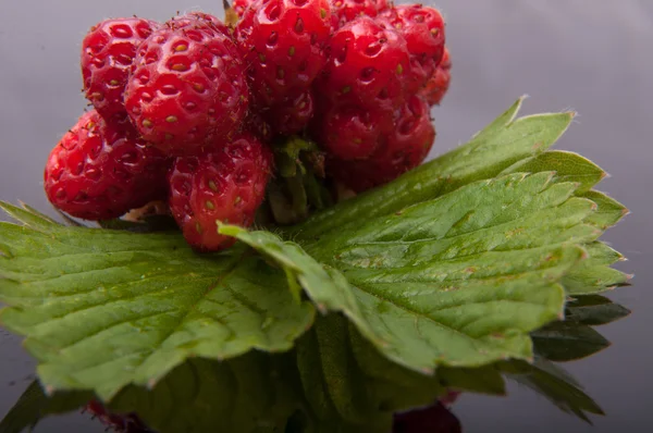 Strawberry — Stock Photo, Image