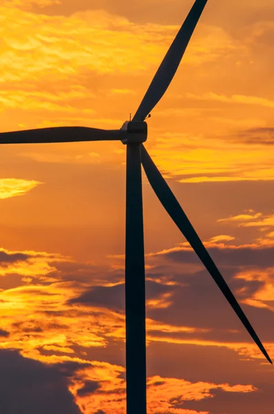 Windkraftanlagen bei Sonnenuntergang — Stockfoto