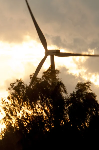 Turbine eoliche al tramonto — Foto Stock