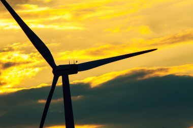 Günbatımında rüzgar türbinleri
