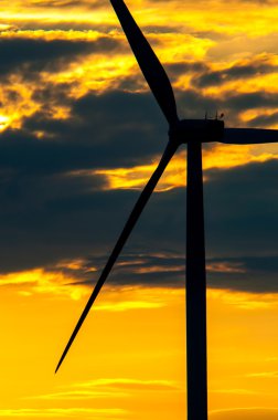 Günbatımında rüzgar türbinleri